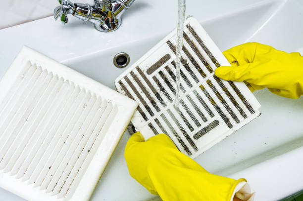 Best Home Air Vent Cleaning  in USA